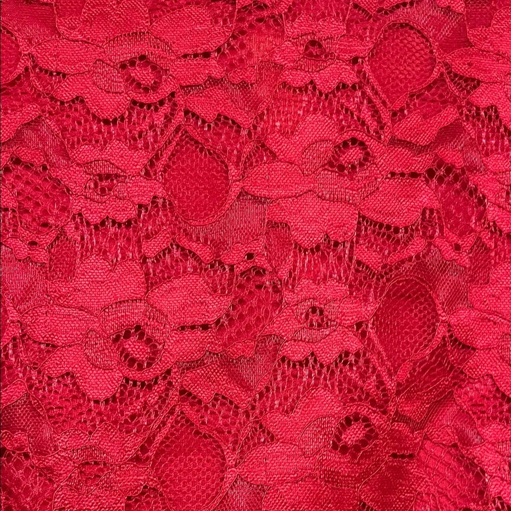 Torrid Mini Lace High Neck Skater Dress - Picture 9 of 16